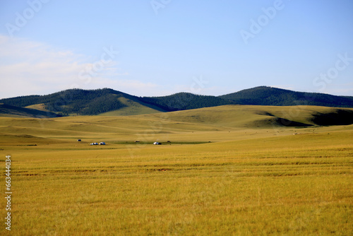View of the green Mongolian steppe in summer
