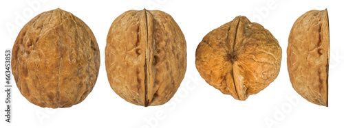 Kit. Walnuts. Depth of field. Isolated. On an empty background.