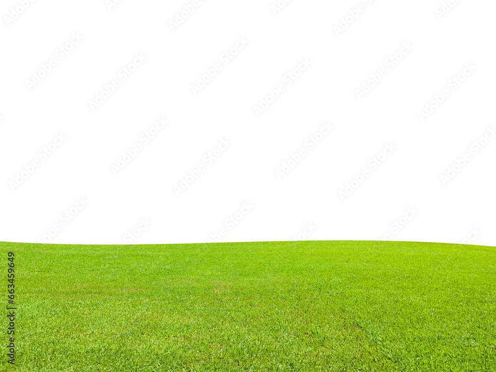 Grass field. Green grass field isolated on white background with clipped path.