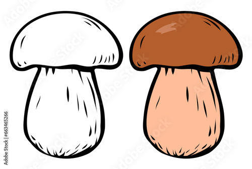 Porcini sketch. Edible forest mushroom. Brown mushroom cap. Delicious nutritious natural food. Healthy ingredient for cooking. Vector isolated illustration color and black. Hand drawn line sketch