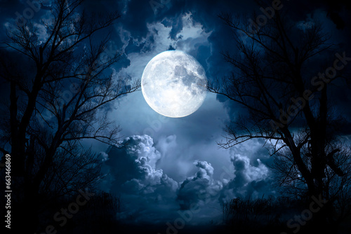 Night sky with moon and dramatic trees. Dramatic clouds in mystic moonlight. Large bright moon as concept of mystery, midnight, gothic time and spooky theme. Halloween concept.