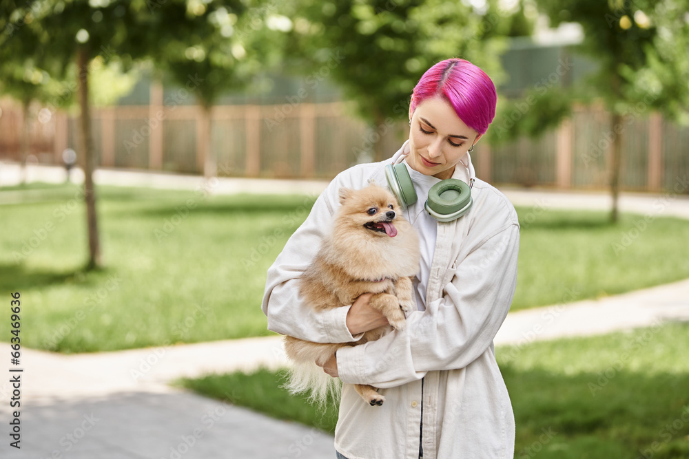 loving pet owner with purple hair and headphones walking with loveable pomeranian spitz in hands loving pet owner with purple hair and headphones walking with loveable pomeranian spitz in hands