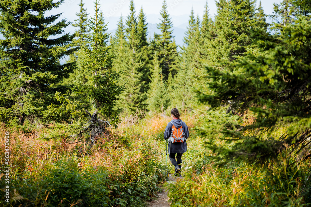 Fototapeta premium A man walks along a mountain trail in a remote area, trekking in the mountains, a forest area, a girl travels with a backpack in the forest.