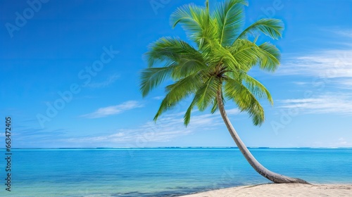  a palm tree on a beach with the ocean in the background.  generative ai