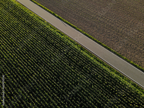 View from above of a rural road between agriculture fields in the countryside 