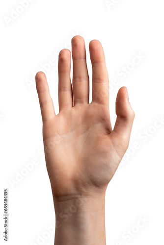 Hand palm, hi greeting gesture, waving, isolated on white