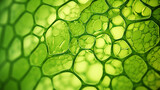 Delve into the fascinating realm of green plant cells through an extreme close-up for a science-themed background..