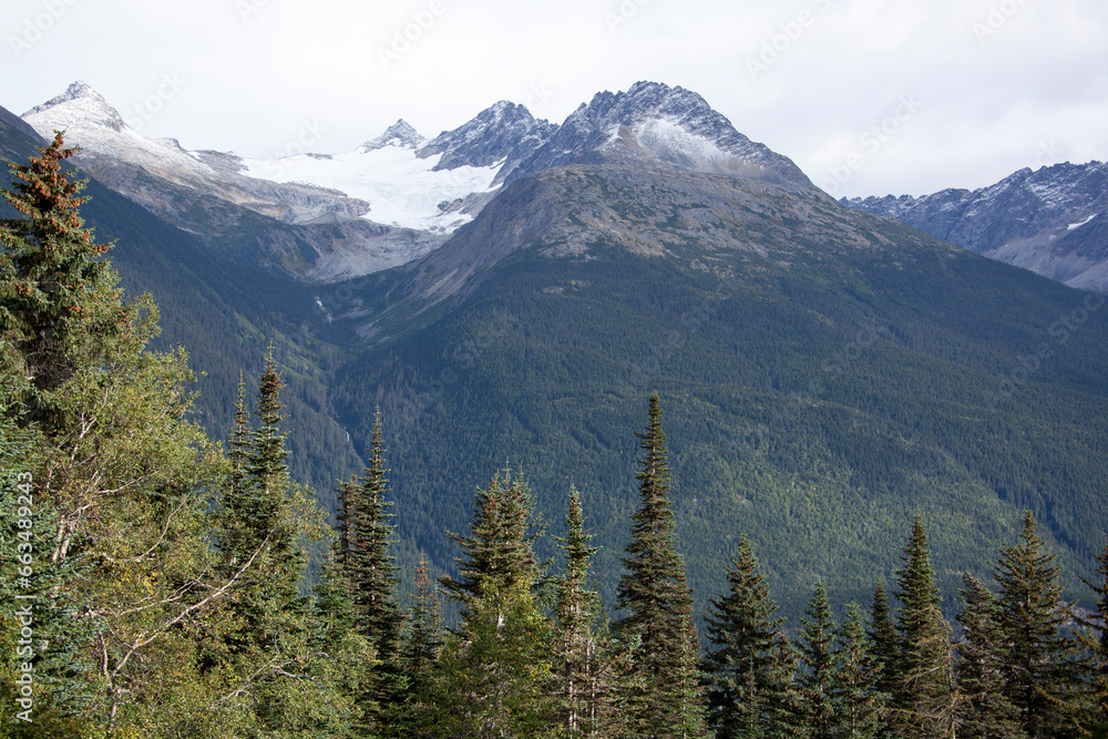 Fototapeta premium Snowy Mountains Surrounding Skagway Town