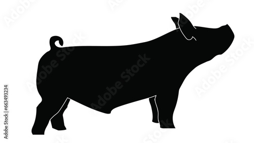 Show Pig