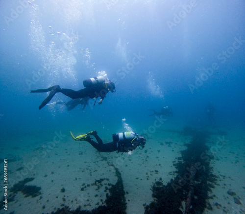 group of divers diving