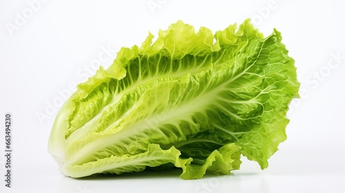 Fresh green Romaine Lettuce isolated on the white background. AI generated image