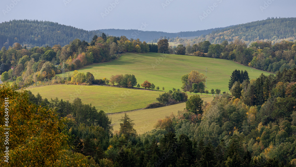 autumn mountain meadows on a sunny day