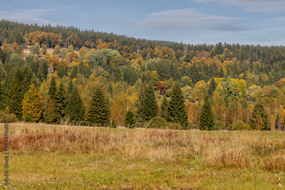 autumn mountain meadows on a sunny day