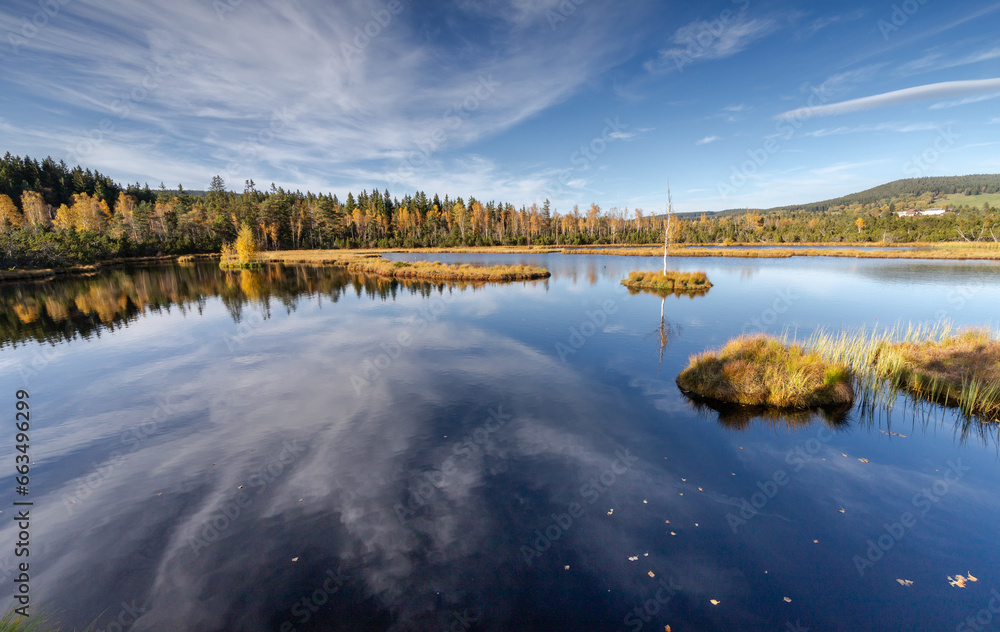 autumn bog in the national park on a sunny day