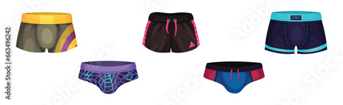 Man Shorts and Swimming Trunks as Underwear and Beach Clothes Vector Set