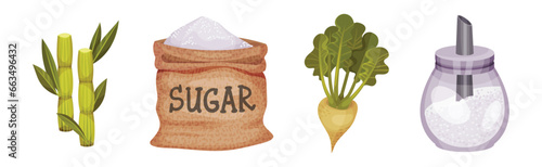 Sugar and Natural Sweet Product Production Vector Set