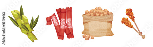 Sugar and Natural Sweet Product Production Vector Set
