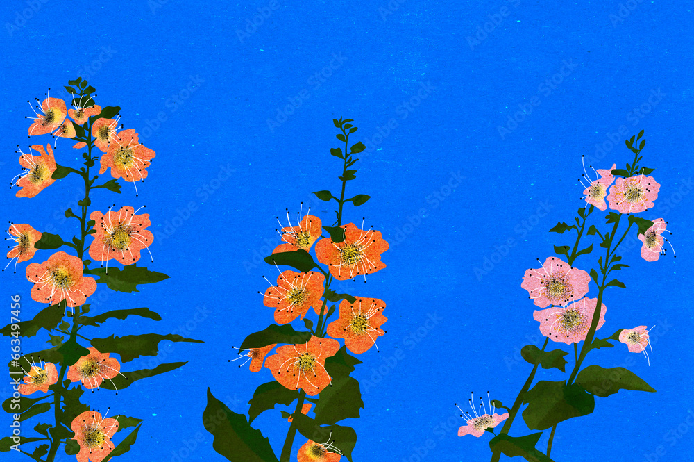 Ilustracja kwiaty kolorowa malwa na niebieskim tle - obrazy, fototapety, plakaty 