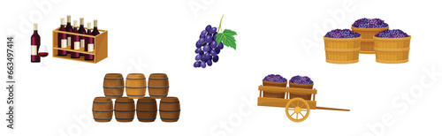 Grape Wine Production with Alcoholic Fermentation Process Vector Set