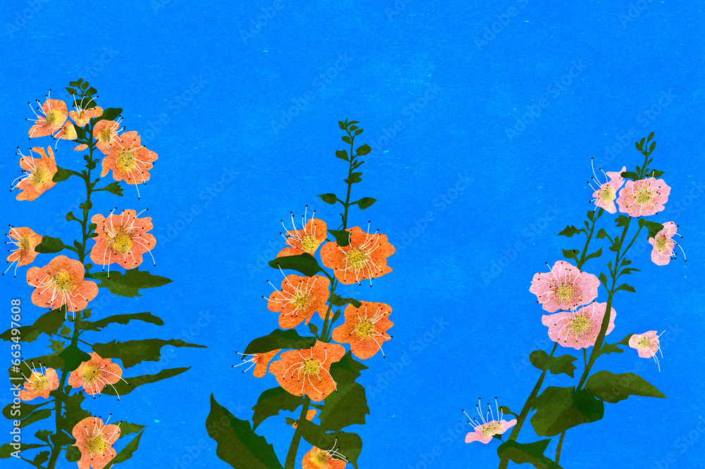 Ilustracja kwiaty kolorowa malwa na niebieskim tle - obrazy, fototapety, plakaty 