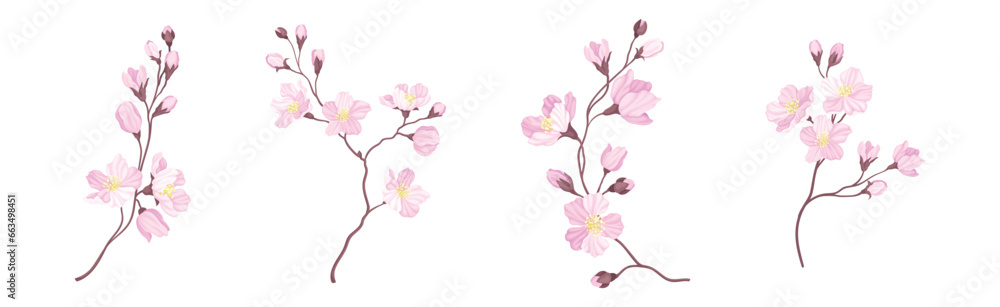 Blooming Cherry Branches with Tender Pink Flower Blossom Vector Set