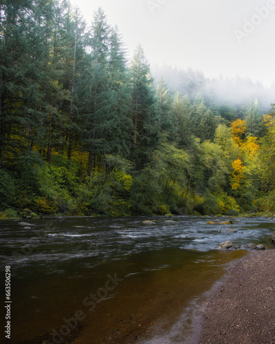 Foggy autumn morning on the Lewis River, Washington State