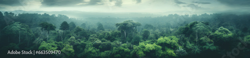 Foggy landscape in the jungle. Fog and cloud mountain tropic valley landscape. aerial view, wide misty panorama © GustavsMD