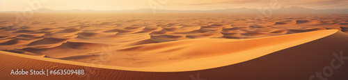 Landscape in the desert. Dunes and sand of an endless desert landscape. Aerial view, wide panorama