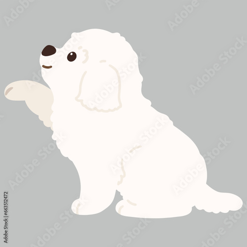 Illustration of Maltese Dog shaking hands