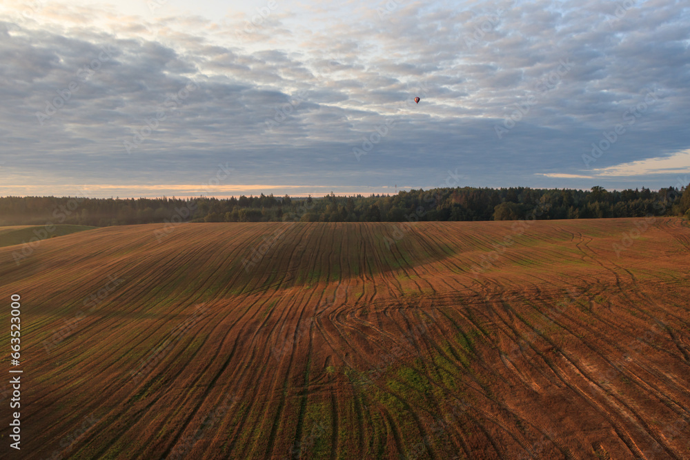 Fototapeta premium A hot air balloons with people flies over forests and fields in the morning at dawn