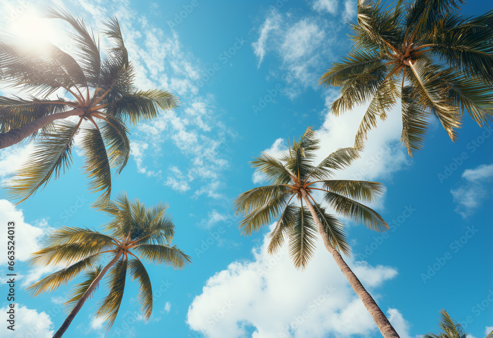 Blue sky and palm trees view from below, vintage style, tropical beach and summer background, travel concept realistic image
Blue sky and palm trees view from below, vintage style, tropical beach and summer background, travel concept realistic image