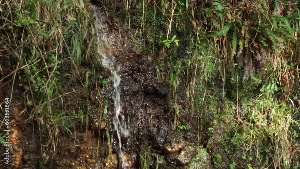 The water trickles down the side of the path in Vale of Clara
