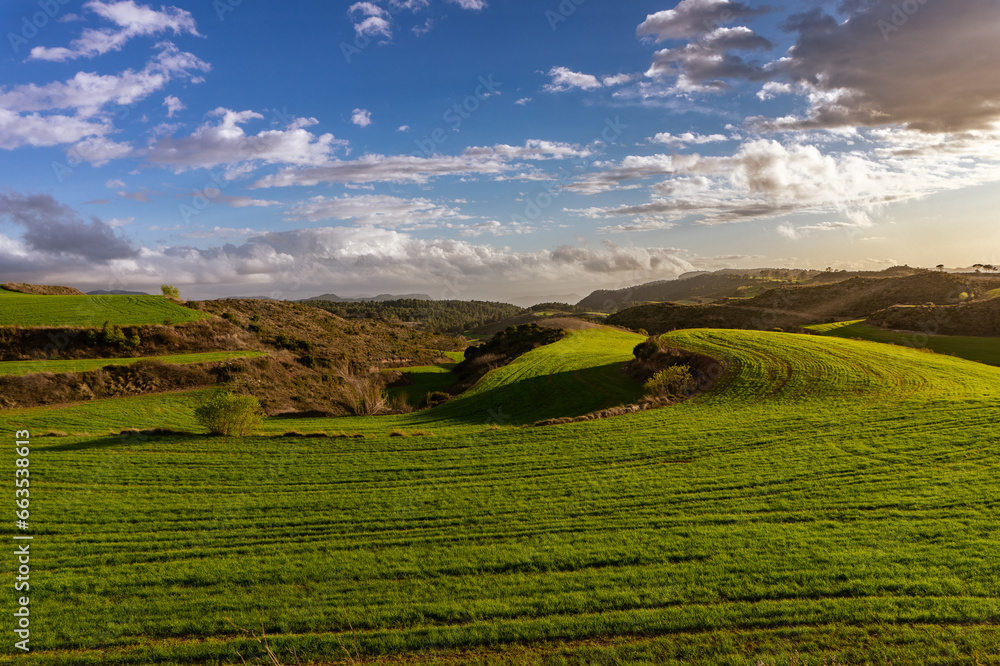 Green fields in Catalonia @ Anoia, Catalonia, Spain.