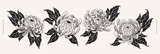 Set of luxurious white chrysanthemum flowers on light background. Tattoo sketch. Garden flowers. Botanical illustration for floral design of invitations, cards. Vector illustration for floral design.