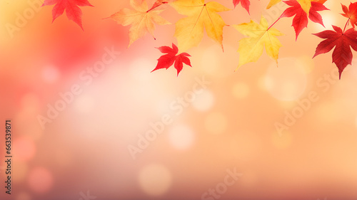 autumn leaves background. fall season concept