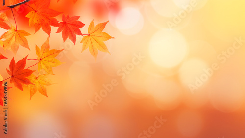 autumn leaves background. fall season concept