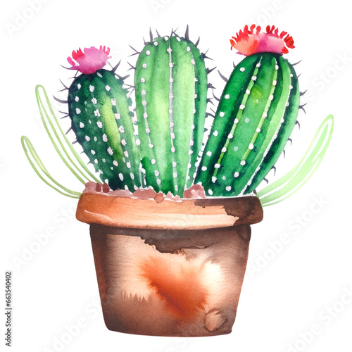 Kaktus w doniczce ilustracja