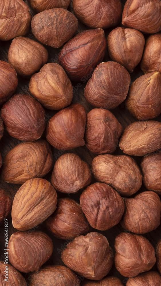 Vertical video. Closeup top view of hazelnuts. Food backdrop Vertical video. Closeup top view of hazelnuts. Food backdrop