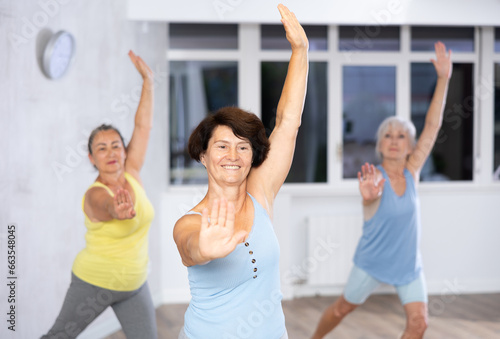 Fototapeta Naklejka Na Ścianę i Meble -  Group of elderly women practicing dance moves in fitness studio