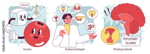 Endocrine system organs and disease set. Human glands function. Pituitary