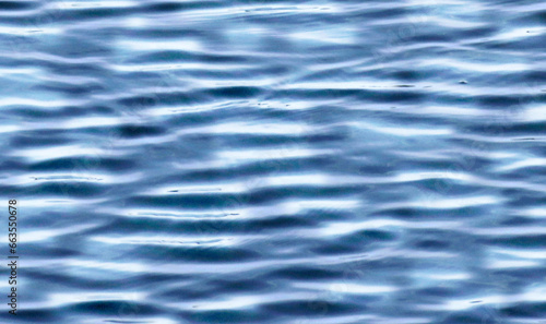 Reflections in the water vector background