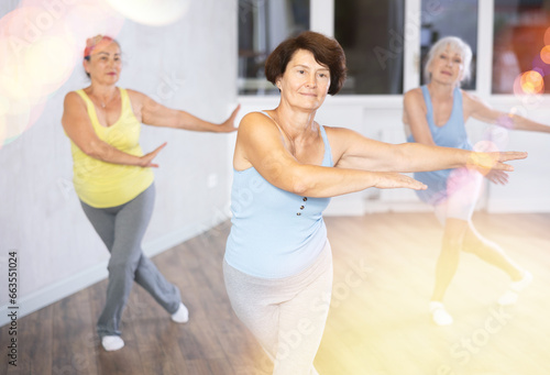 Group of elderly women practicing dance moves in fitness studio