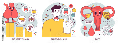 Endocrine system organs and disease set. Human glands function. Pituitary