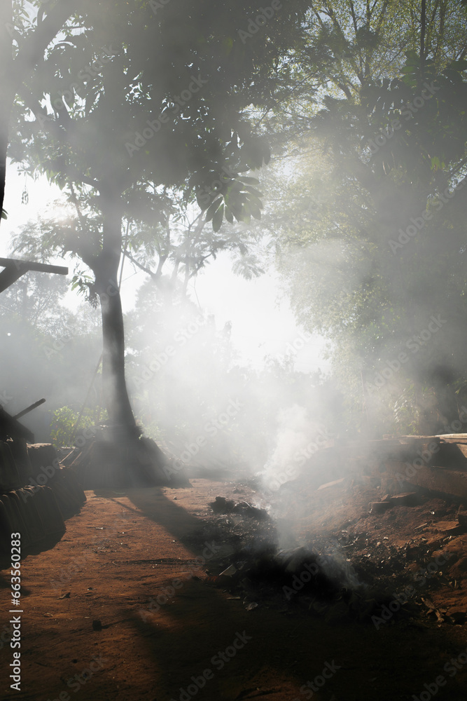 Fototapeta premium burning smoke and green nature