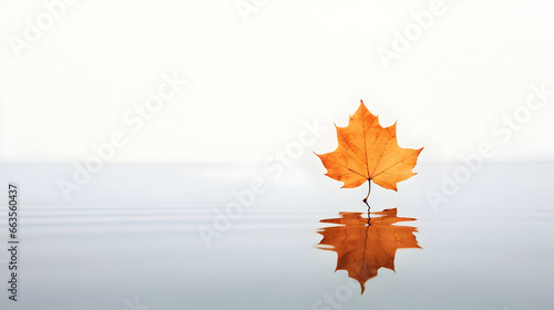Autumn leaves on water, A clean and minimalist shot of a singular autumn leaf on a reflective surface, Autumn Leaf in Minimal Beauty