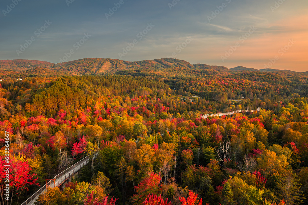 Obraz premium Aerial view of winding river in Laurentian mountains, Quebec, Canada during the fall foliage