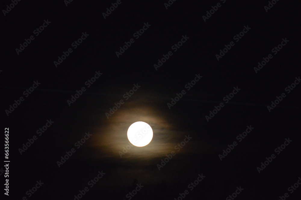 moon in the night moon in the night