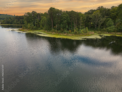 lake and forest