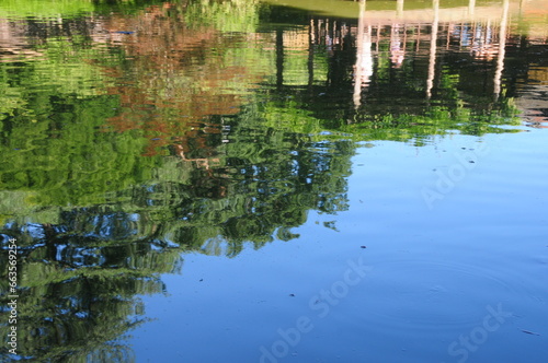 Reflection of Trees in Water