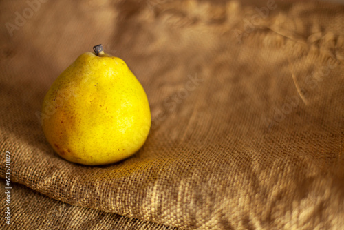 One ripe juicy pear on burlap. Fresh fruit from our own garden. Copy space.